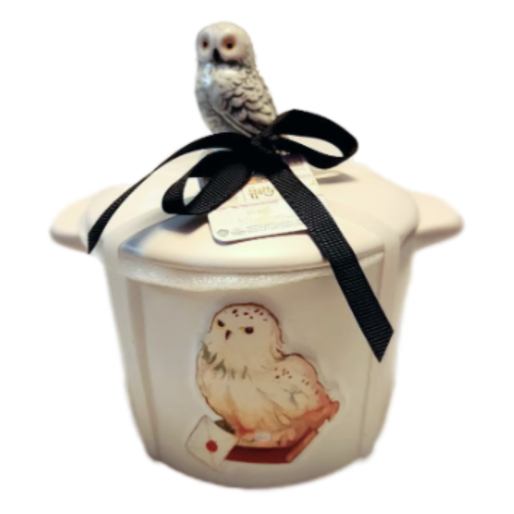 Rae Dunn HEDWIG Dish | Harry Potter – Dunn Directory