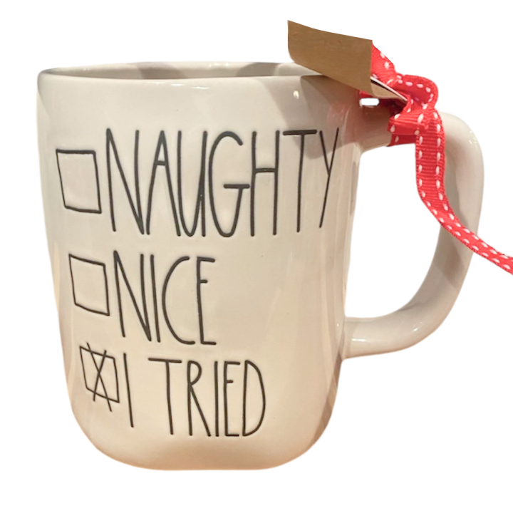 NAUGHTY, NICE, I TRIED Mug