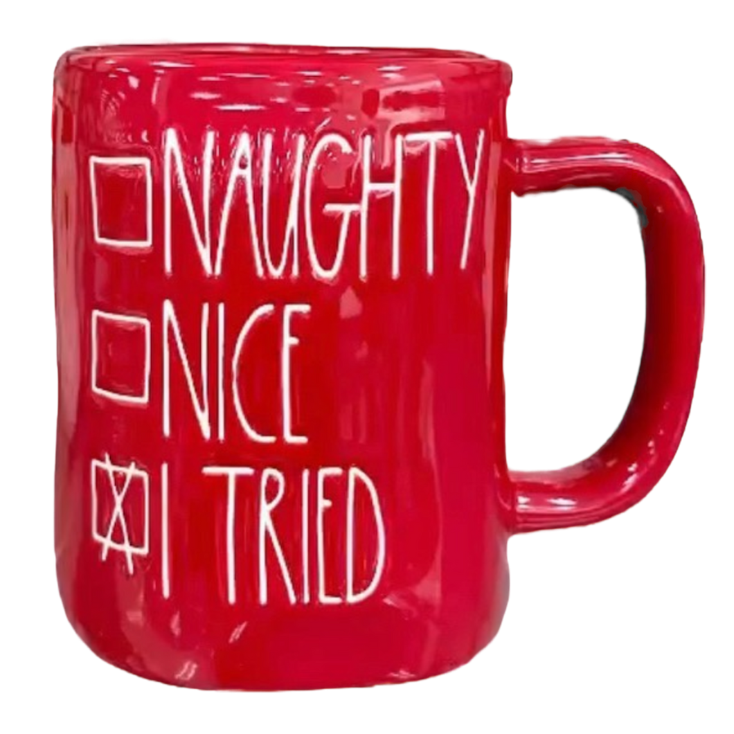 NAUGHTY, NICE, I TRIED Mug