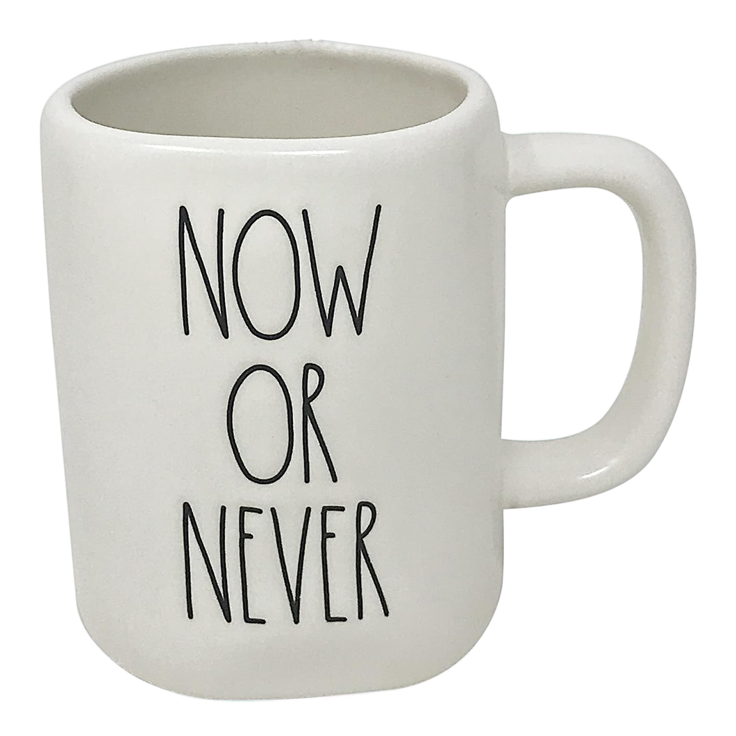 NOW OR NEVER Mug