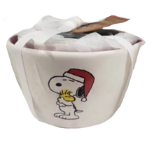 Load image into Gallery viewer, CHARLIE BROWN CHRISTMAS Measuring Cups ⤿
